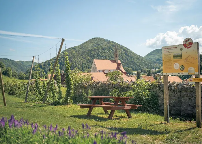 Отель Kartause Гаминг